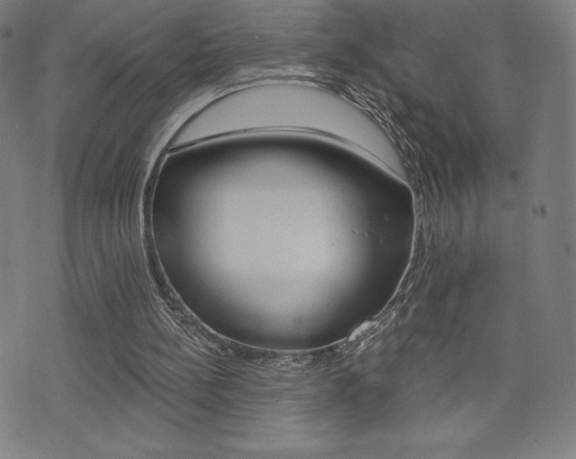 X0000072980148200607211014