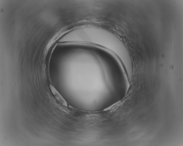 X0000072980150200607211014