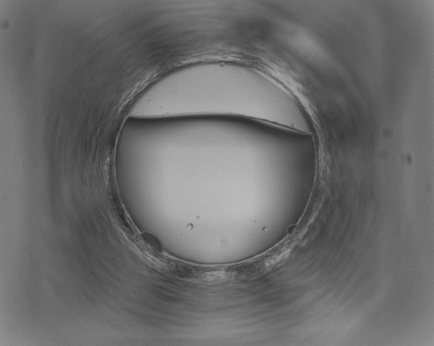 X0000072980153200607211014