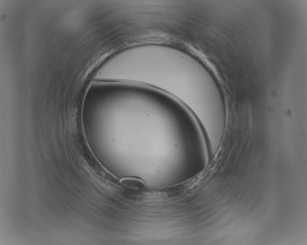 X0000072980154200607211014