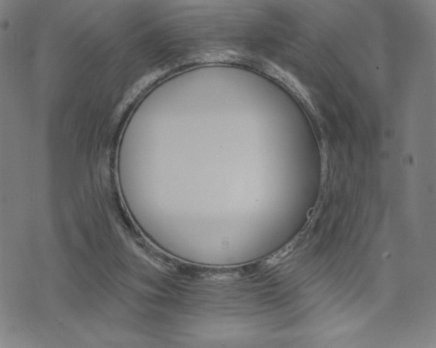 X0000072980155200607211014