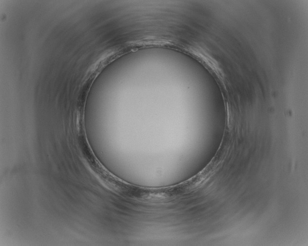 X0000072980157200607211014