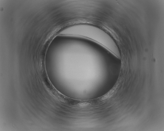 X0000072980158200607211014