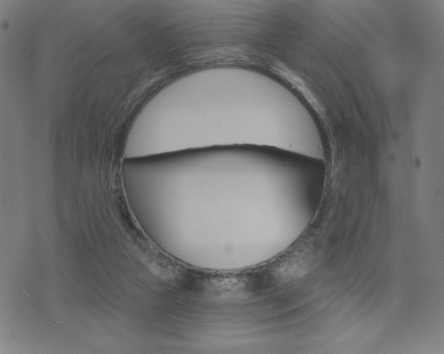 X0000072980161200607211014