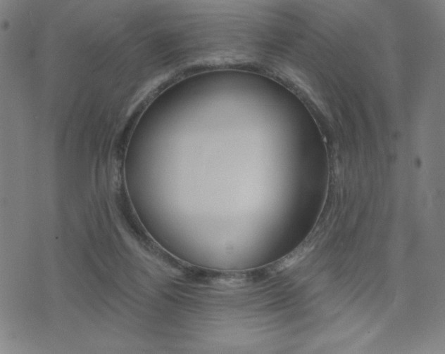 X0000072980164200607211014