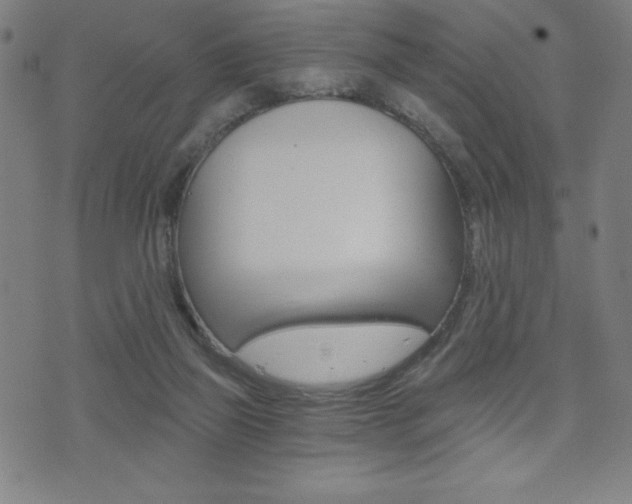 X0000072980165200607211014