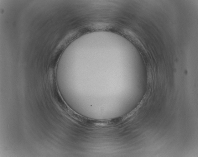 X0000072980167200607211014