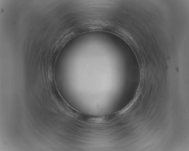 X0000072980170200607211015