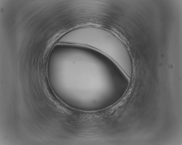 X0000072980193200607211014