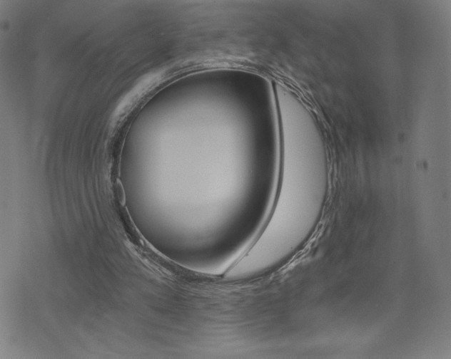 X0000072980197200607211014