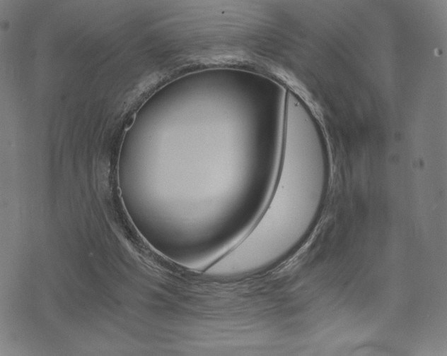 X0000072980201200607211014