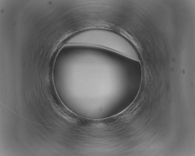 X0000072980203200607211014