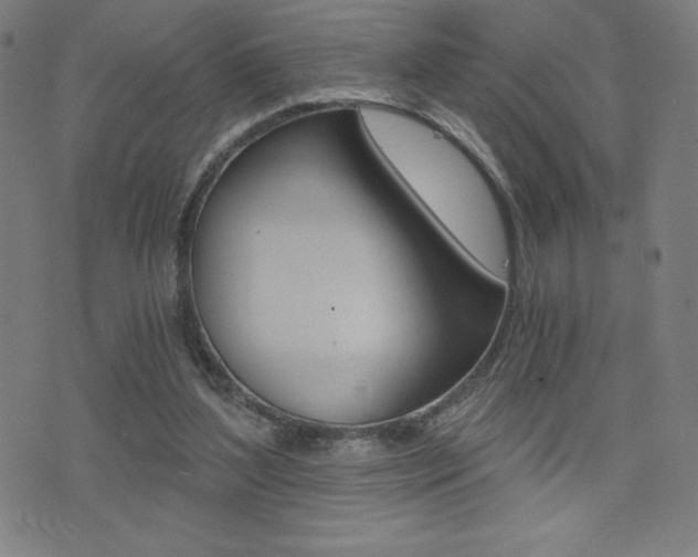 X0000072980204200607211014