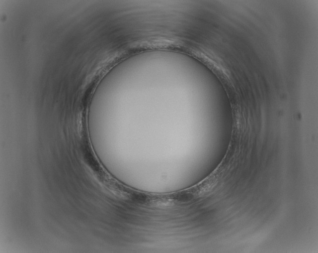 X0000072980206200607211014