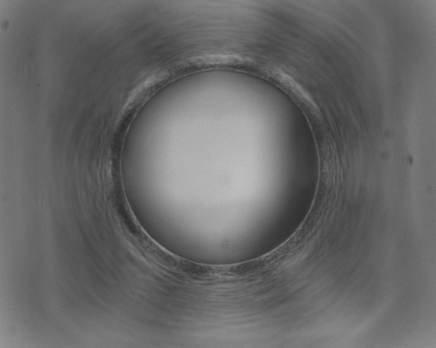 X0000072980207200607211014