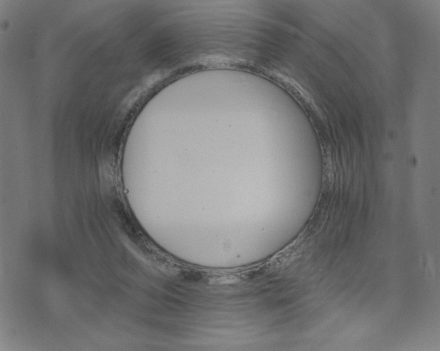 X0000072980208200607211014