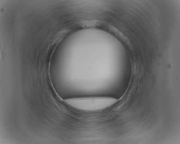 X0000072980209200607211014