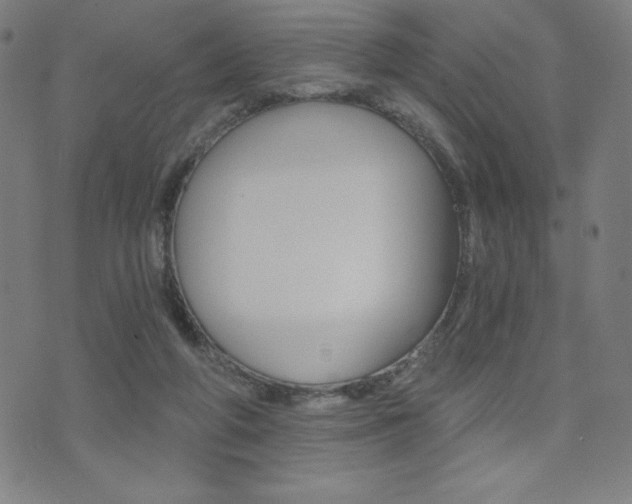 X0000072980210200607211014