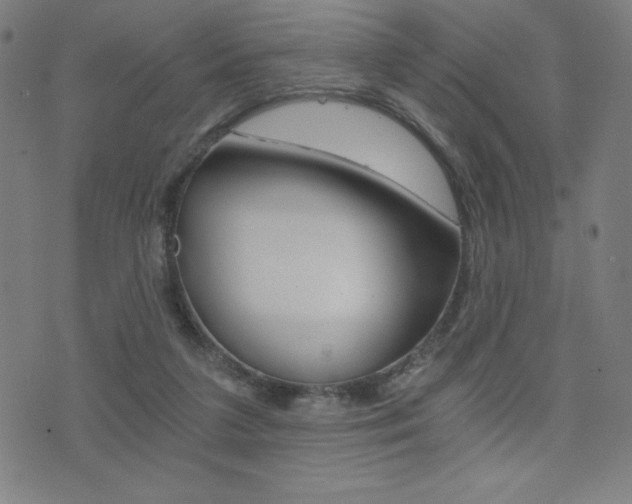 X0000072980211200607211014