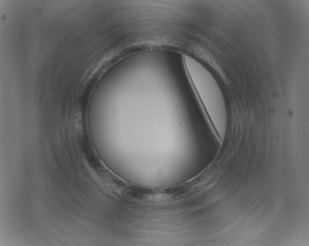 X0000072980212200607211014