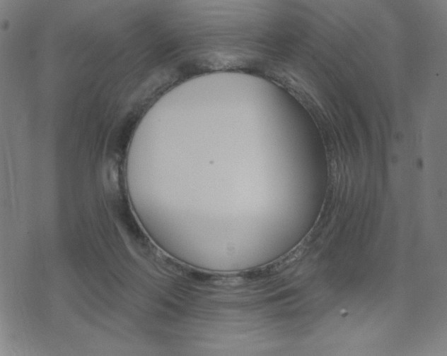 X0000072980214200607211014