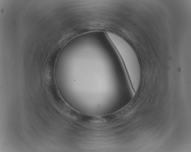 X0000072980215200607211014