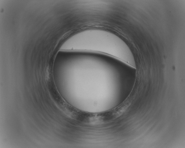 X0000072980216200607211014