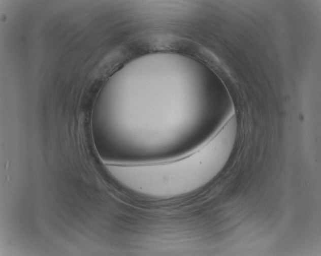 X0000072980217200607211014