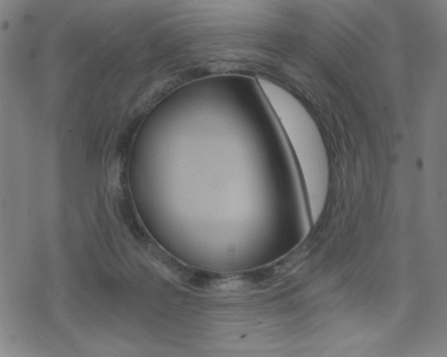 X0000072980219200607211014
