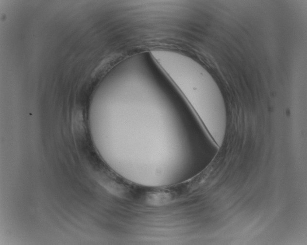 X0000072980220200607211014