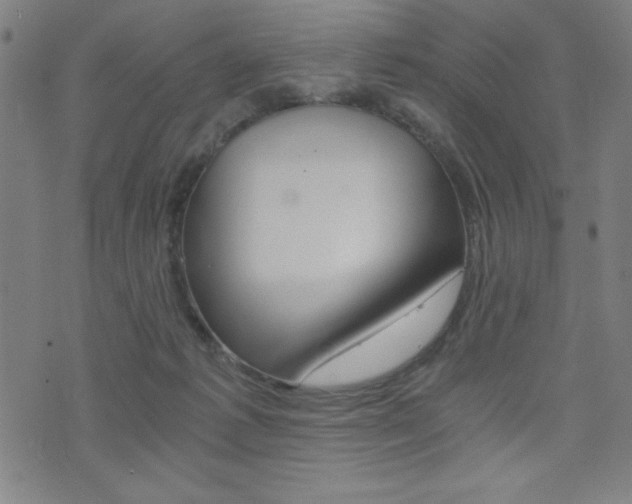 X0000072980221200607211014