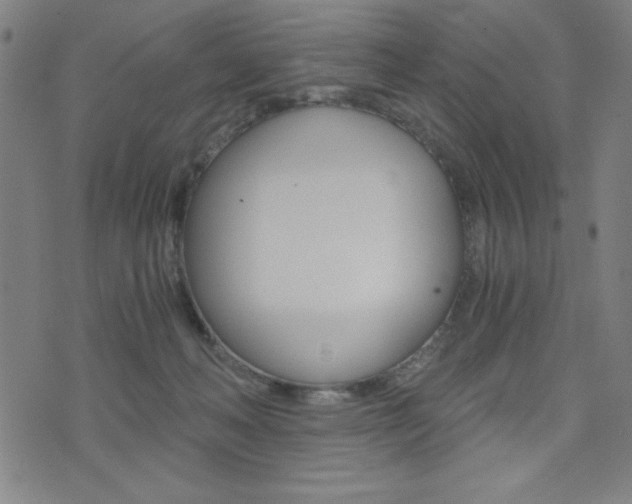 X0000072980222200607211014