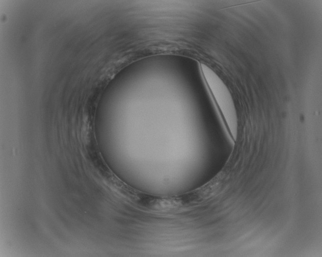 X0000072980223200607211014