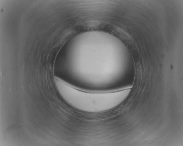 X0000072980225200607211014