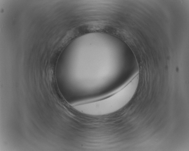 X0000072980227200607211014