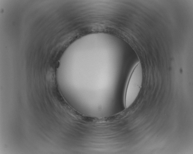 X0000072980228200607211014