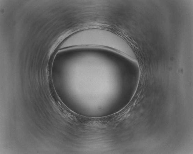 X0000072980244200607211013