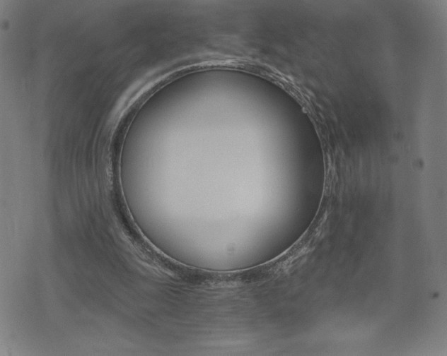 X0000072980247200607211013