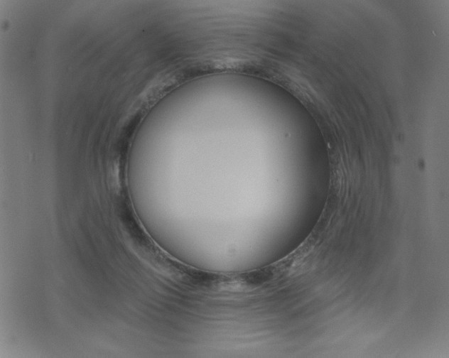 X0000072980262200607211013