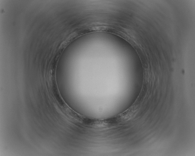 X0000072980263200607211013