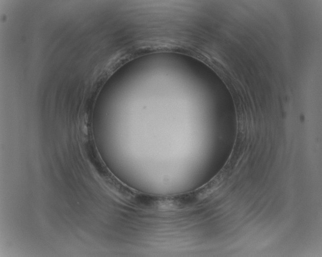 X0000072980264200607211013