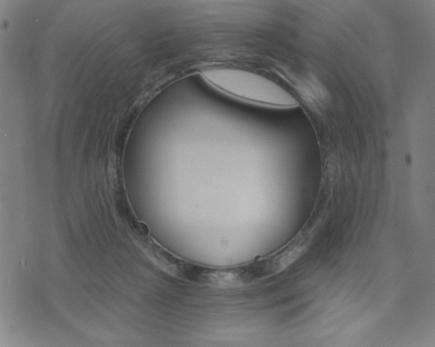X0000072980265200607211013