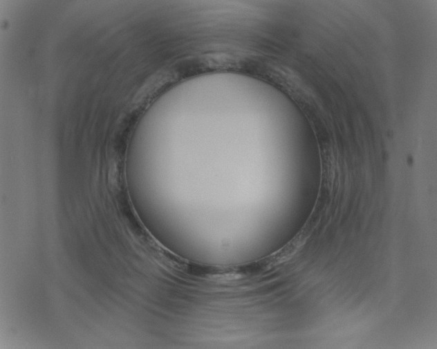 X0000072980266200607211013