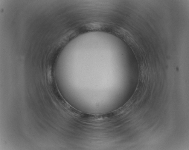 X0000072980267200607211013