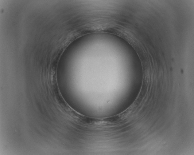 X0000072980268200607211013