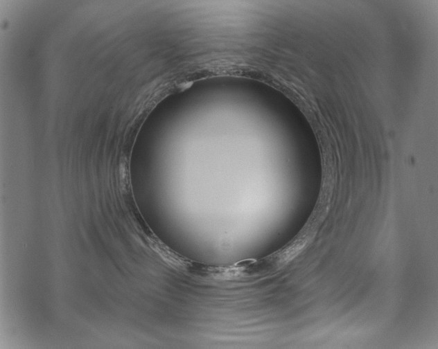 X0000072980288200607211013