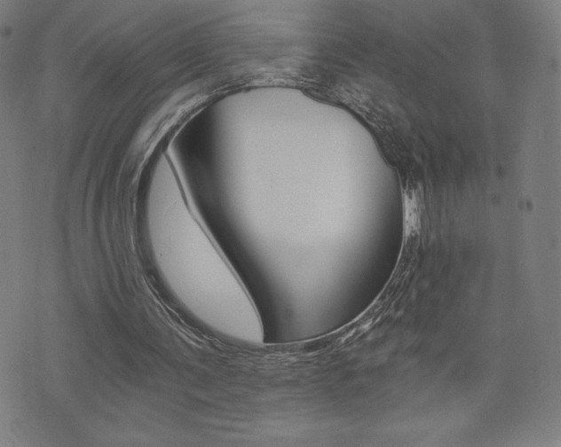 X0000072980291200607211012