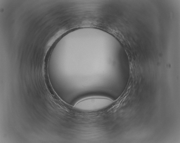 X0000072980292200607211012