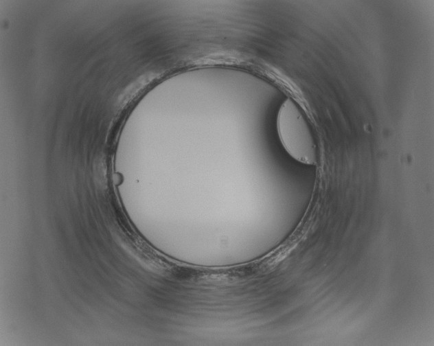 X0000072980298200607211012