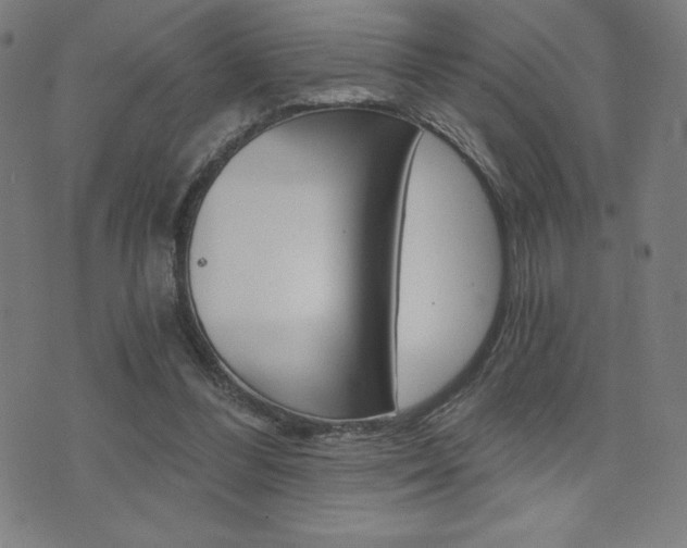 X0000072980300200607211012